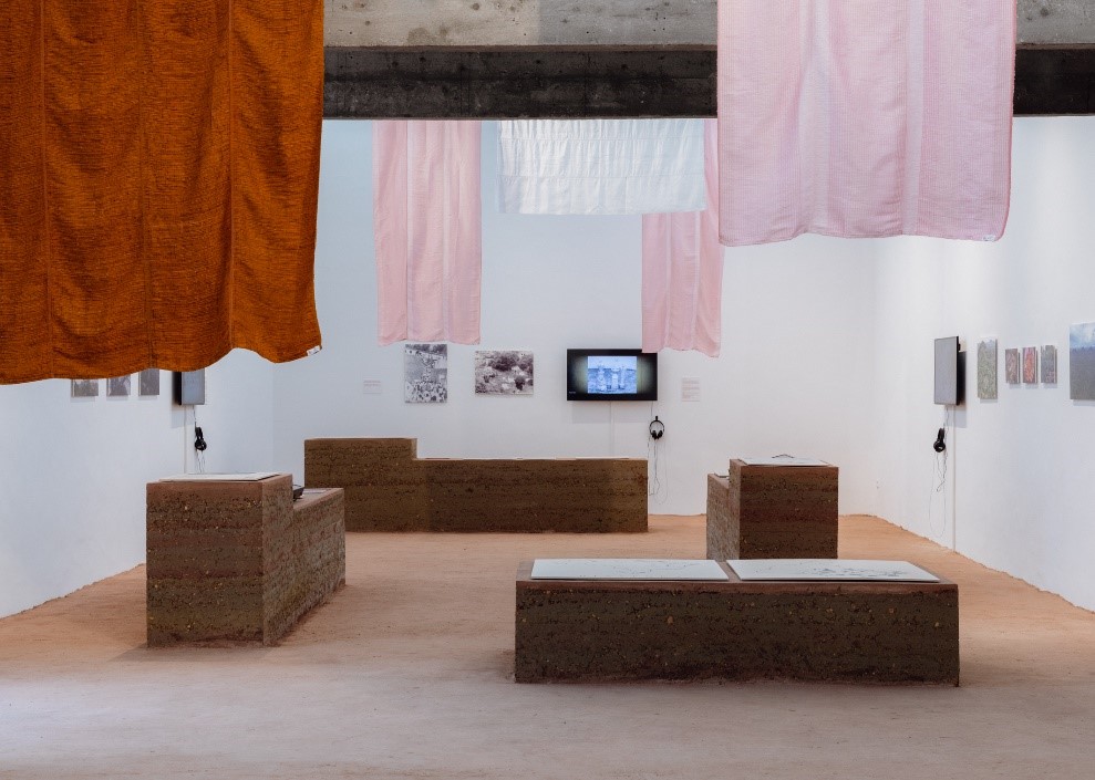 1 paraliptes bienalle
