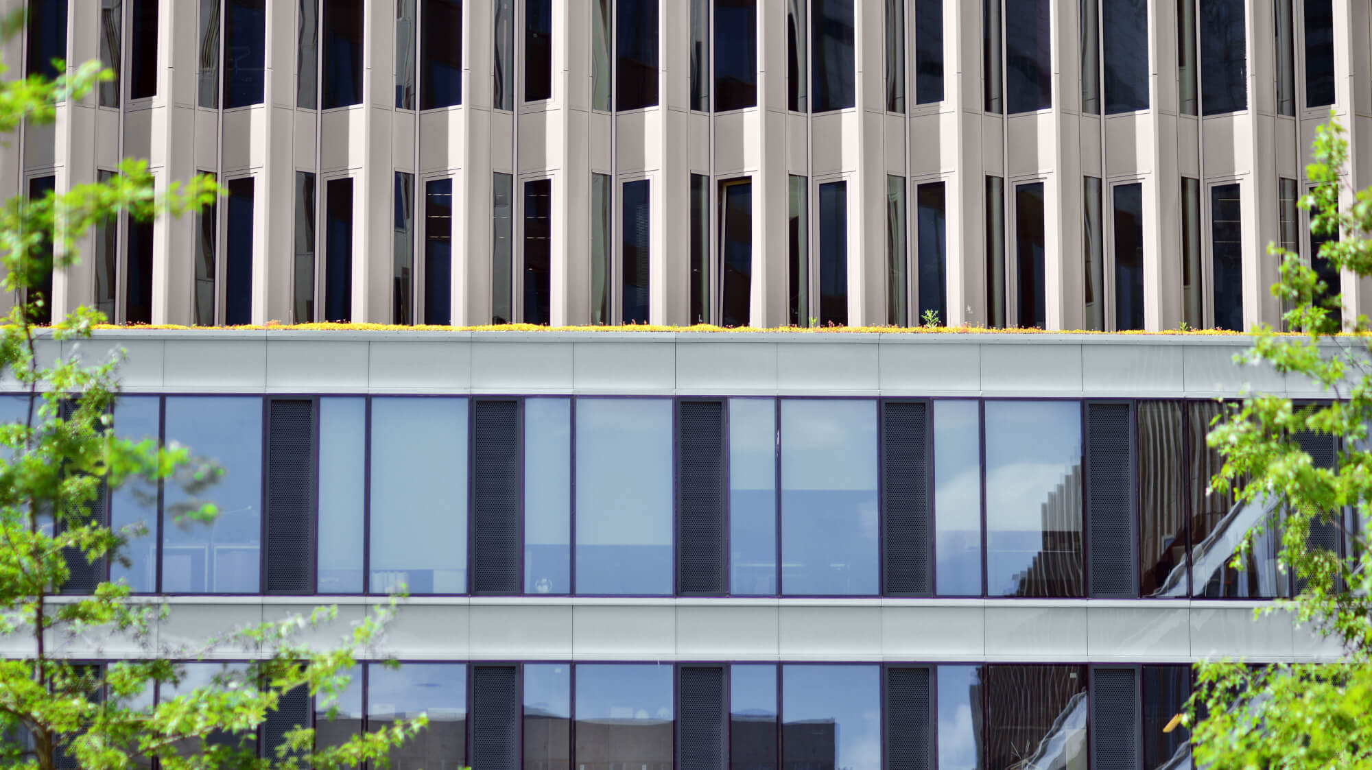Dulux-Colour-Futures-Colour-of-the-Year-2024-A-Calm-Colour-Story-Offices-Inspiration-Global-17.jpg