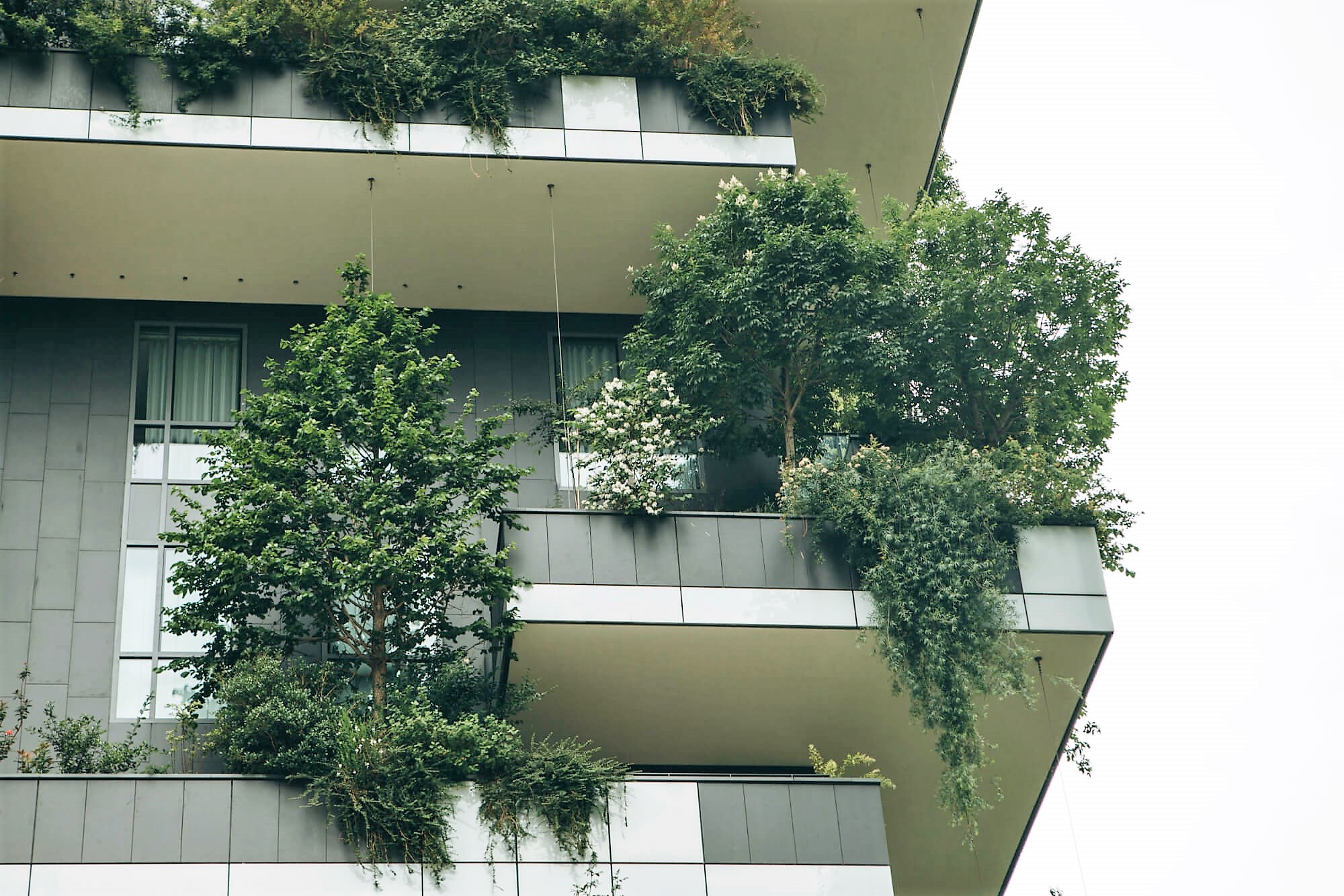 Green_Facade_Healing_Nature_post.jpg