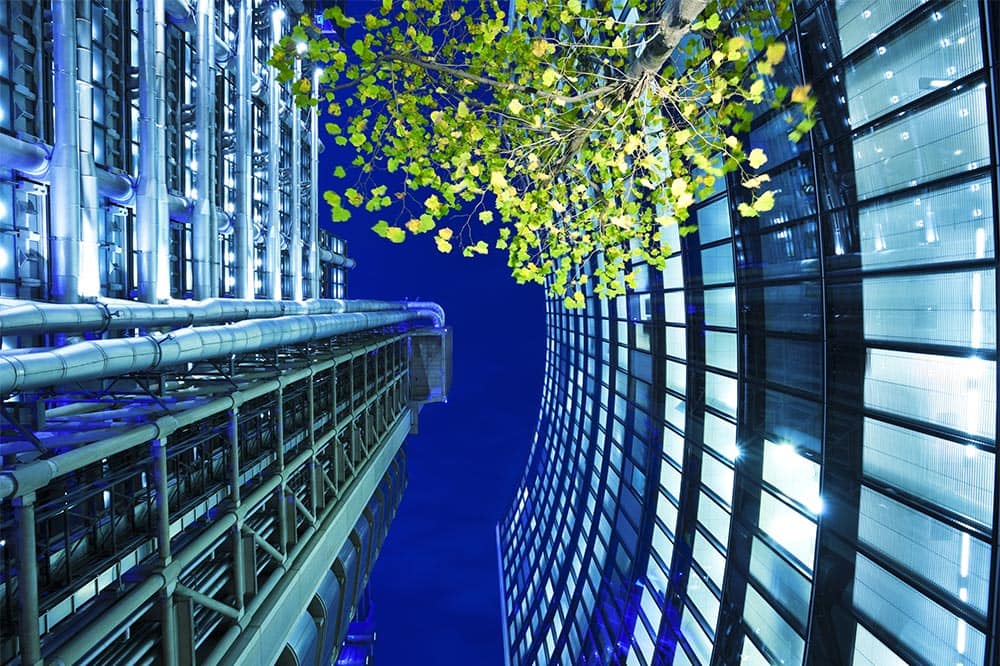 Low-E-Image-Tree---opt.jpg