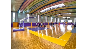 ΞΥΛΙΝΑ ΑΘΛΗΤΙΚΑ ΔΑΠΕΔΑ