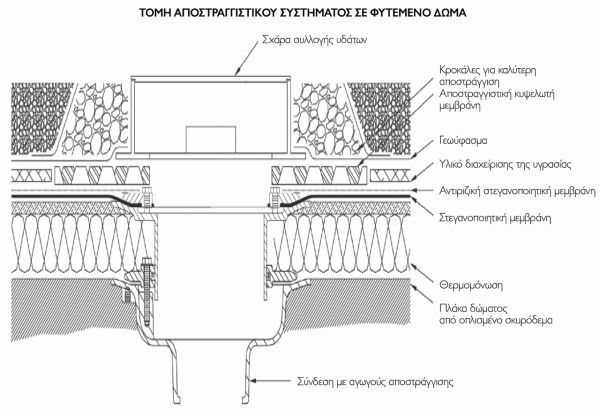 Τομή αποστραγγιστικού συστήματος σε φυτεμένο δώμα