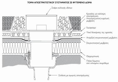 Τομή αποστραγγιστικού συστήματος σε φυτεμένο δώμα