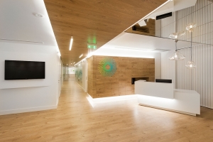 Renovation of TAP office spaces