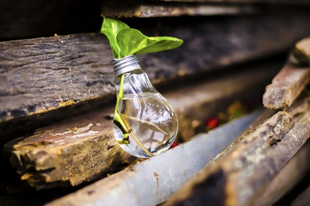 "Forward green" Έκθεση για την κυκλική οικονομία, την ενέργεια και τη δόμηση