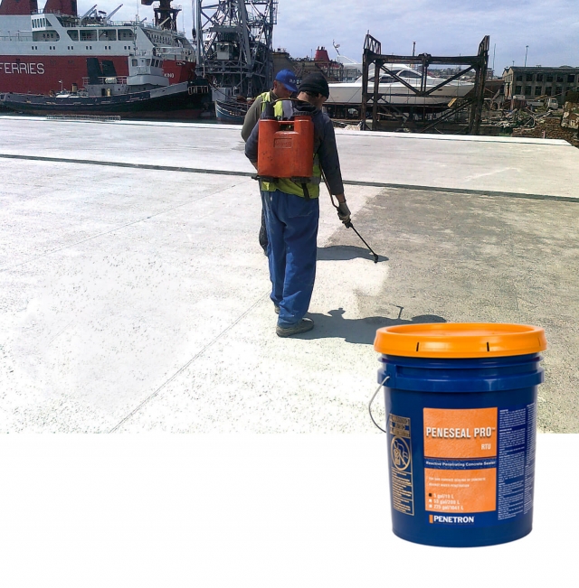 9. PENESEAL PRO (RTU)