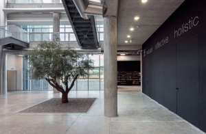 Office building with sustainable design